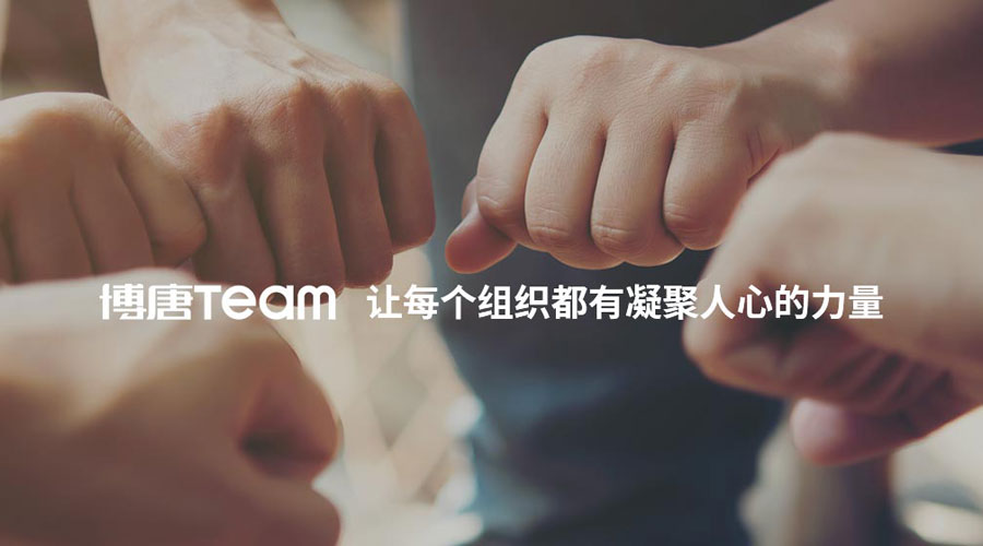 成功案例范文